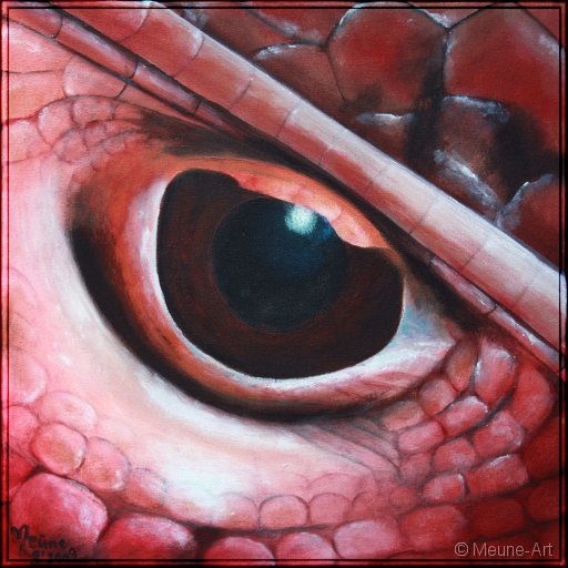 Augenblick eines Rotkopf-Krokodiltejus Acryl auf Leinwand;
30 x 30 cm